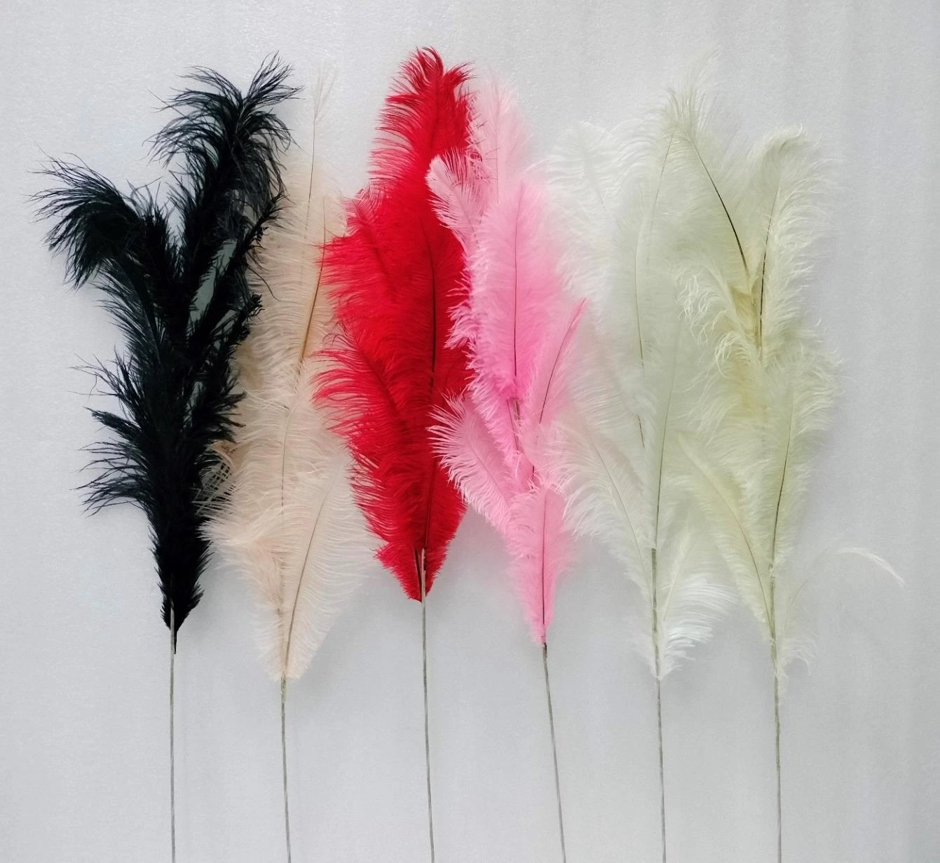 Feather Stick